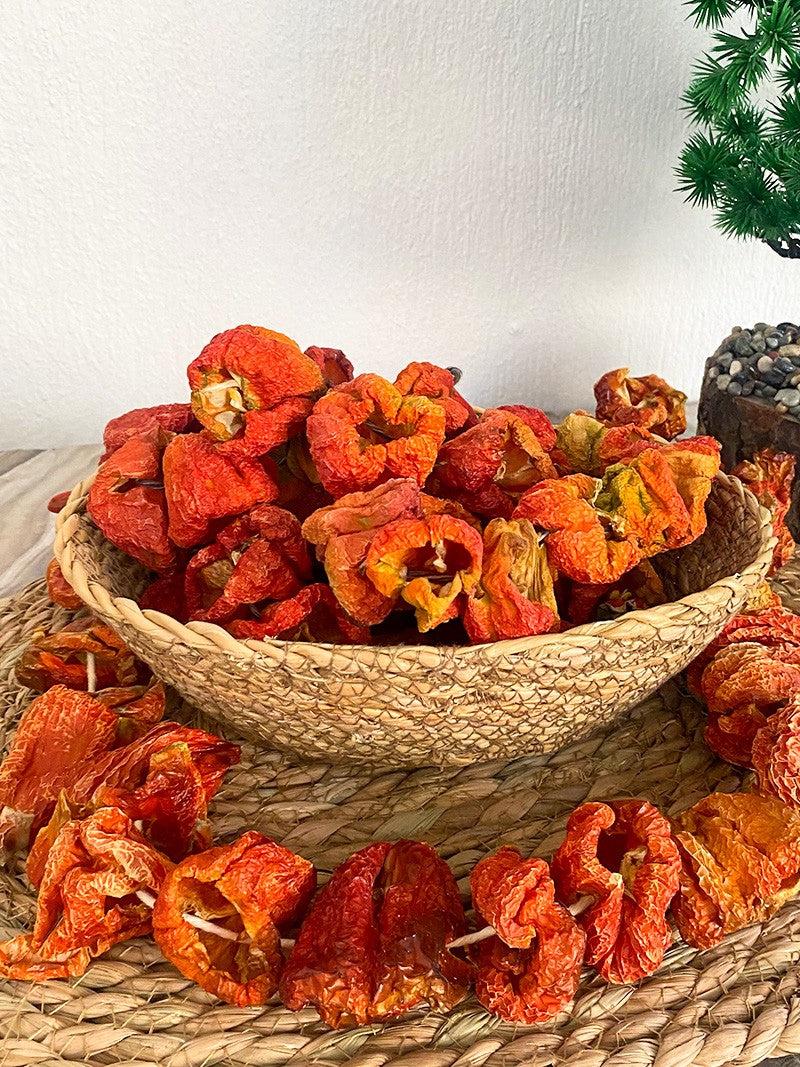 Gedroogde Paprika Dolma – Authentiek uit Gaziantep (Premium Selectie)